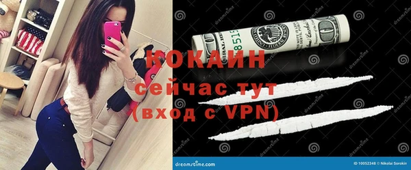 твердый Богданович